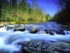 Little Pigeon River, Great Smoky Mountains Natioal Park